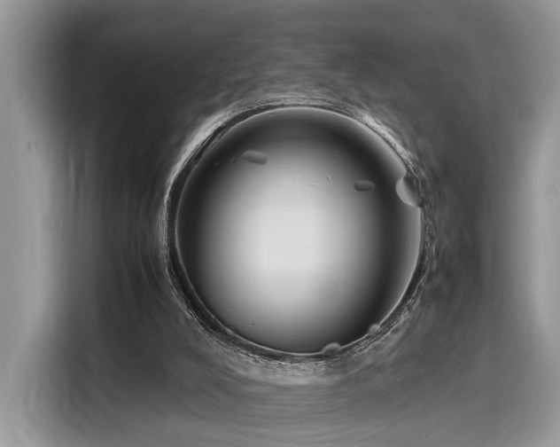 X0000116270008200911301222
