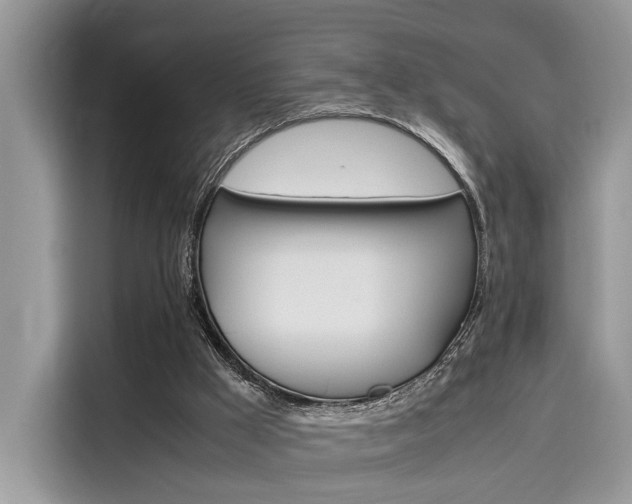 X0000116270009200911301222