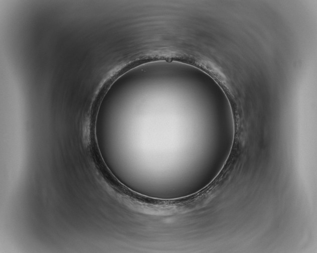 X0000116270012200911301222