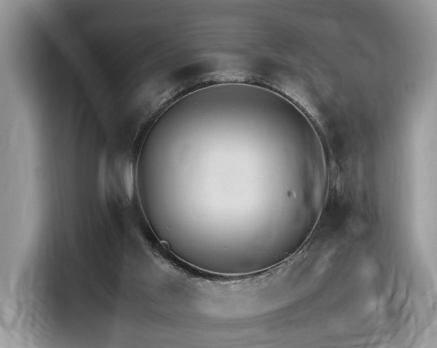 X0000116270013200911301222