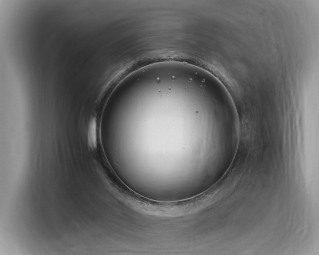 X0000116270014200911301222