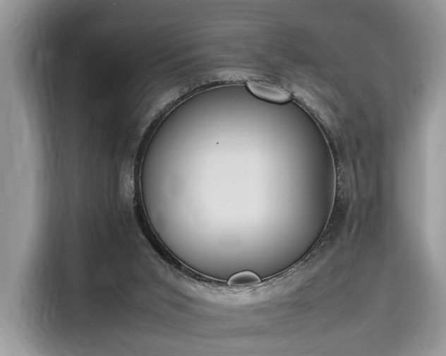 X0000116270015200911301222