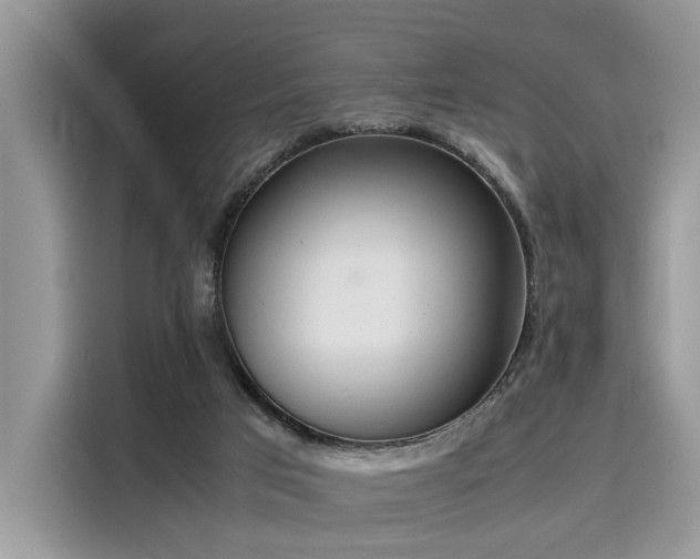 X0000116270017200911301222
