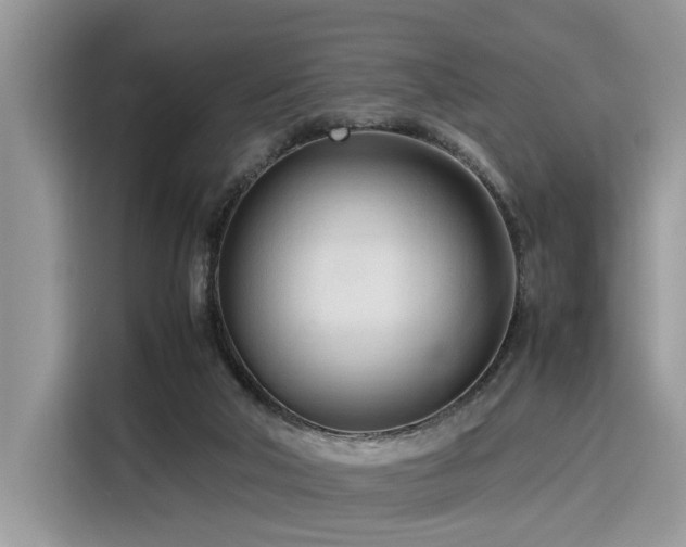 X0000116270018200911301222