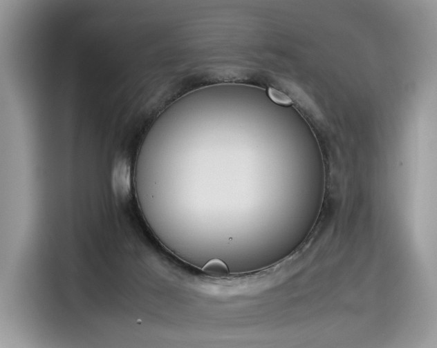 X0000116270021200911301222