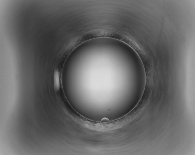 X0000116270022200911301222