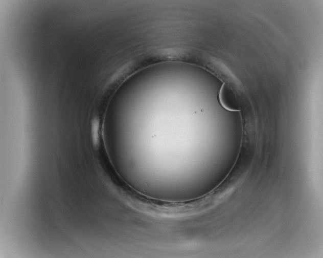 X0000116270024200911301222