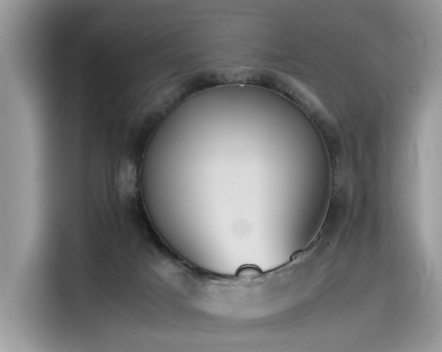 X0000116270025200911301222