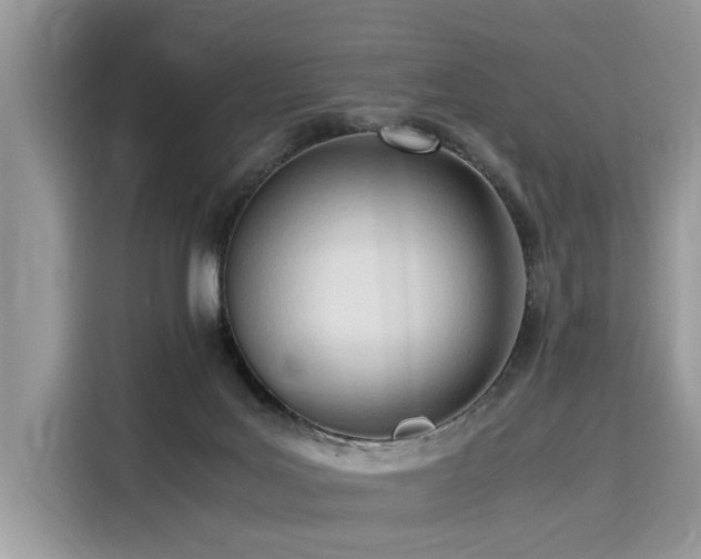 X0000116270027200911301222