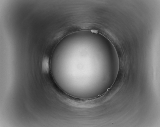 X0000116270028200911301222