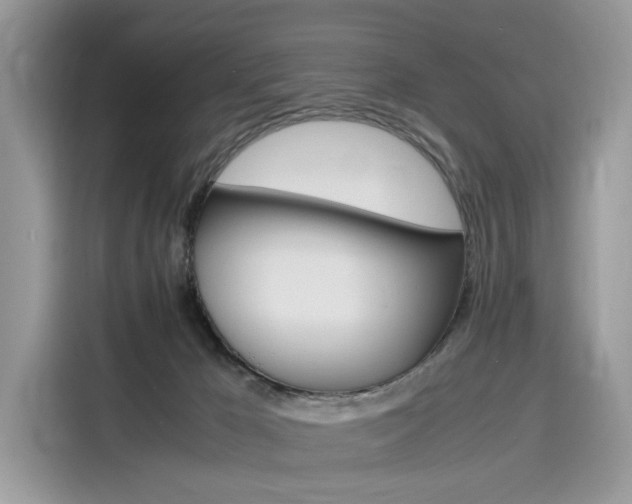 X0000116270029200911301222