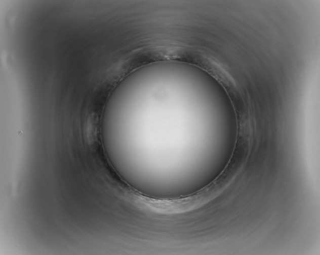 X0000116270030200911301222