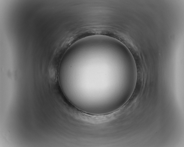 X0000116270031200911301222