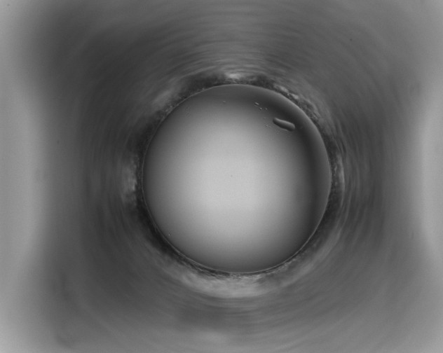 X0000116270032200911301222
