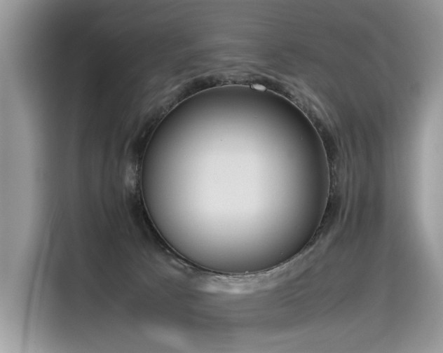 X0000116270033200911301222