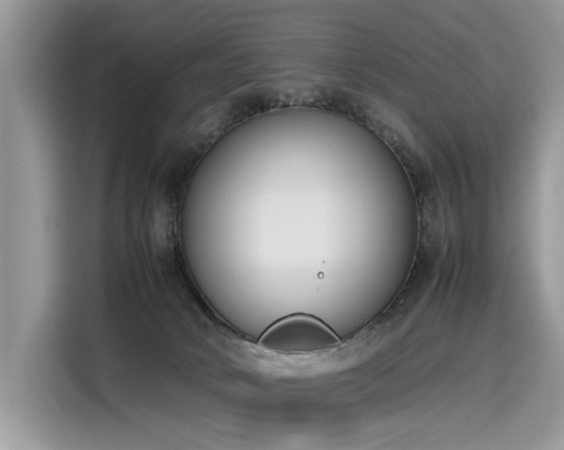 X0000116270034200911301222