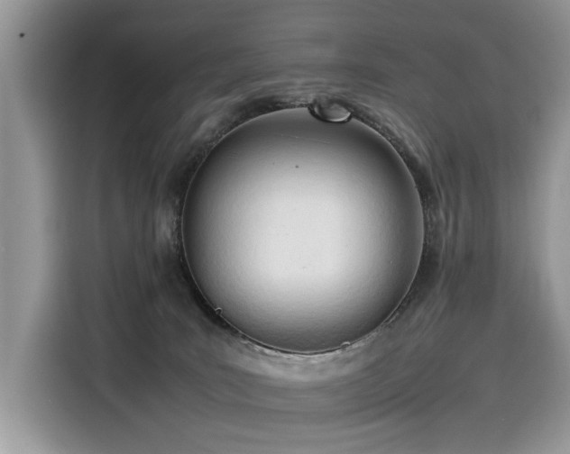 X0000116270035200911301222