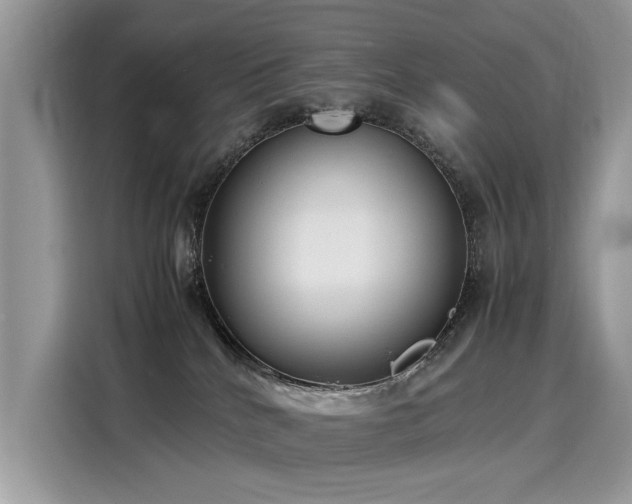 X0000116270040200911301222