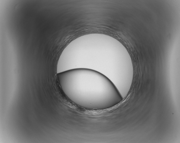 X0000116270041200911301222
