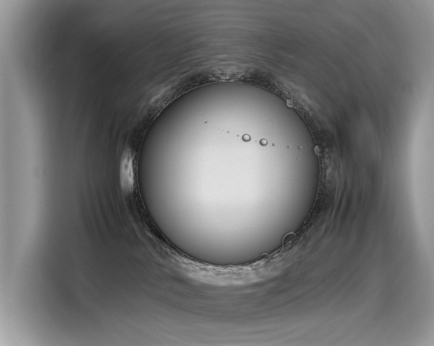 X0000116270042200911301222