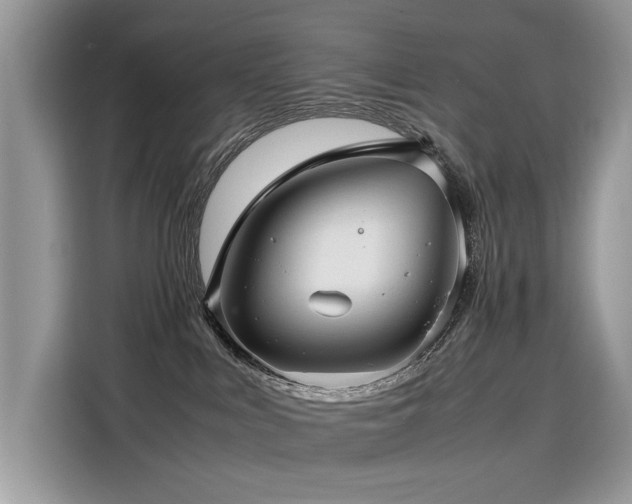 X0000116270043200911301222