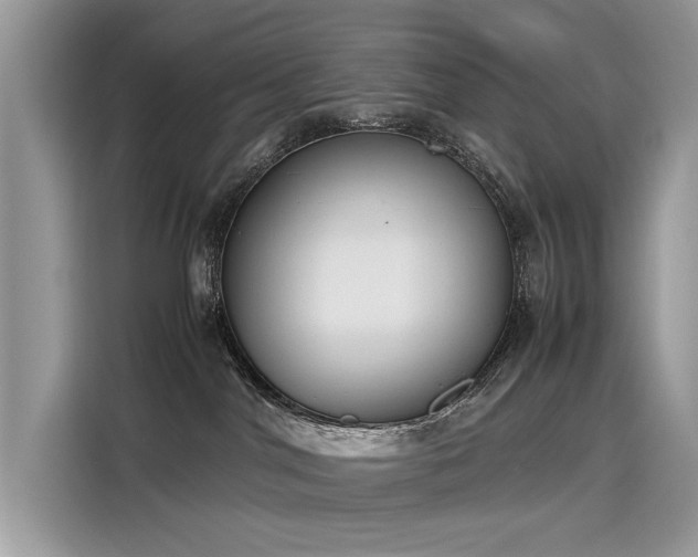 X0000116270044200911301222