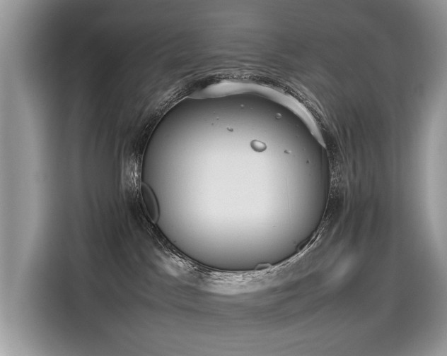 X0000116270045200911301222