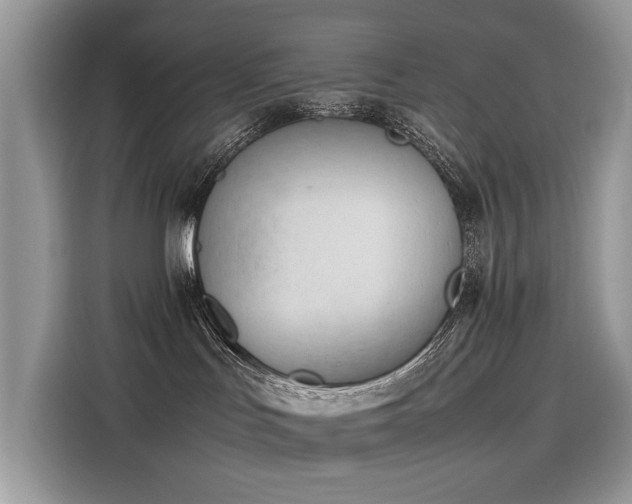 X0000116270047200911301222
