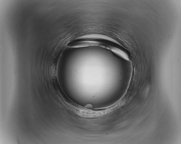 X0000116270048200911301222