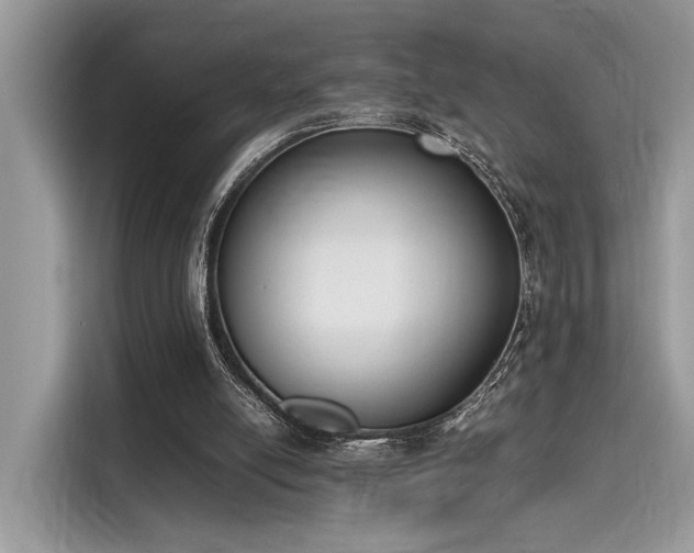 X0000116270054200911301221