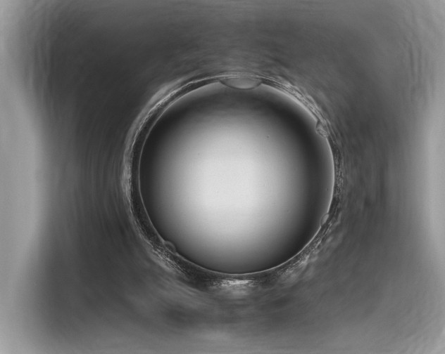 X0000116270055200911301221