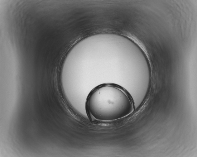 X0000116270057200911301221