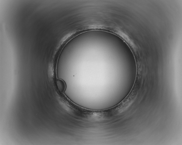 X0000116270060200911301221