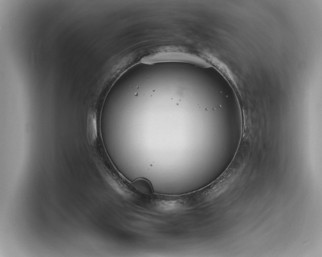 X0000116270061200911301221