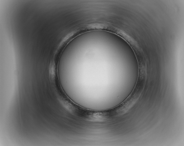 X0000116270064200911301221
