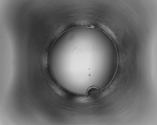 X0000116270065200911301221