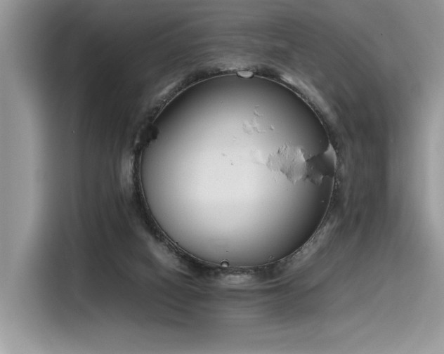 X0000116270066200911301221