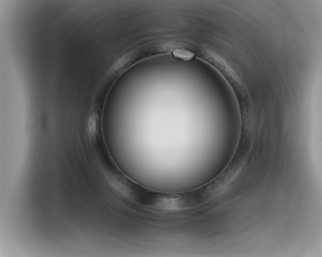 X0000116270071200911301222