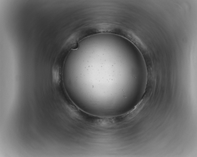 X0000116270074200911301222