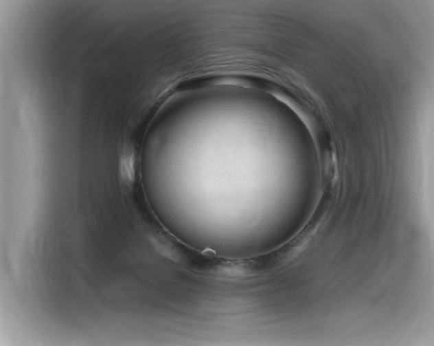 X0000116270076200911301222
