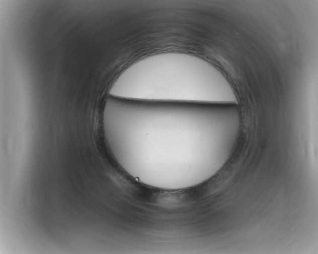 X0000116270077200911301222