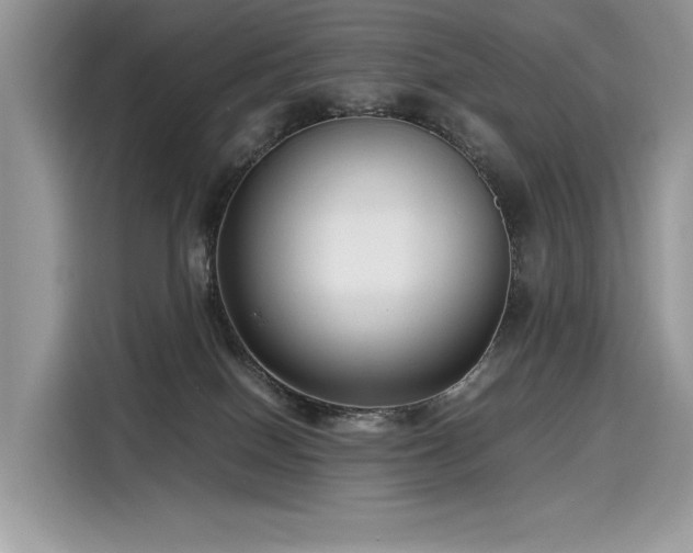 X0000116270086200911301222