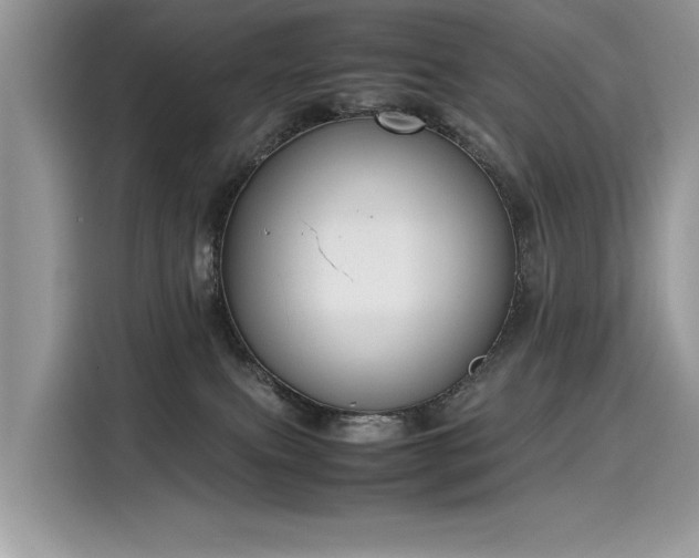 X0000116270087200911301222