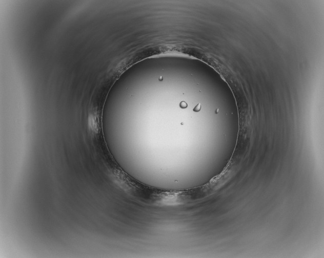 X0000116270090200911301222