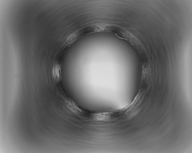 X0000116270094200911301222