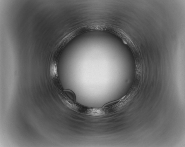 X0000116270095200911301222