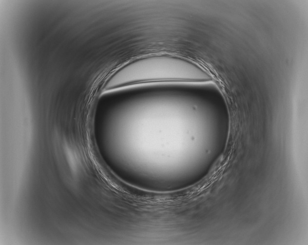 X0000116270097200911301221