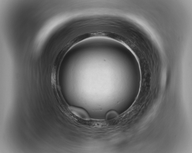 X0000116270099200911301221