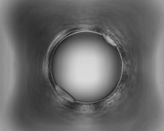 X0000116270101200911301221