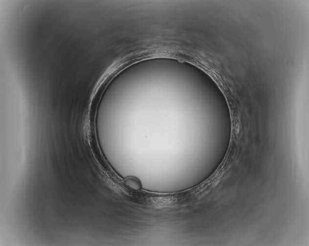 X0000116270102200911301221